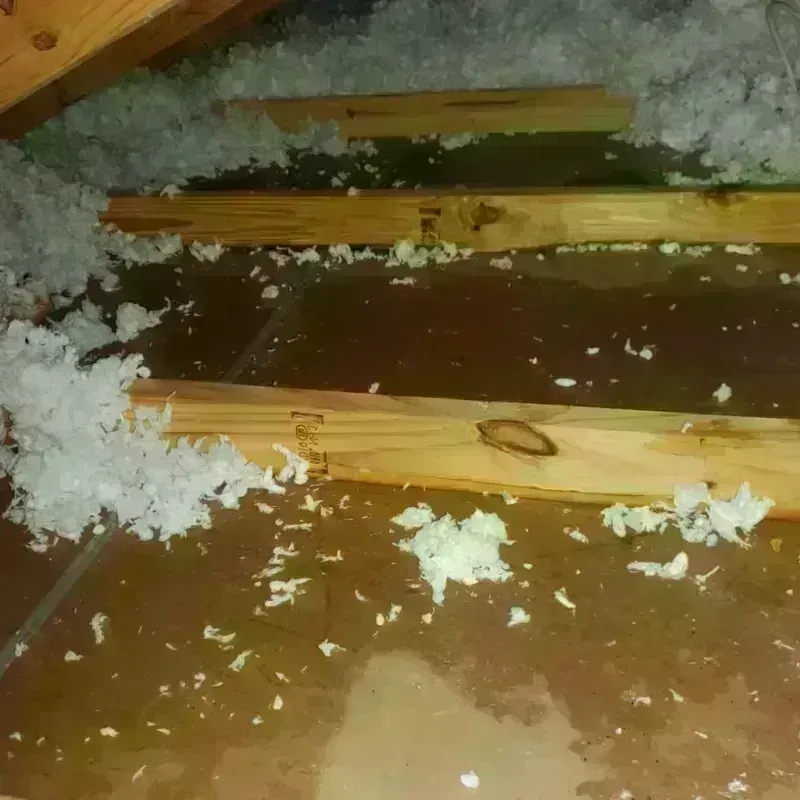 Attic Water Damage in Shady Spring, WV